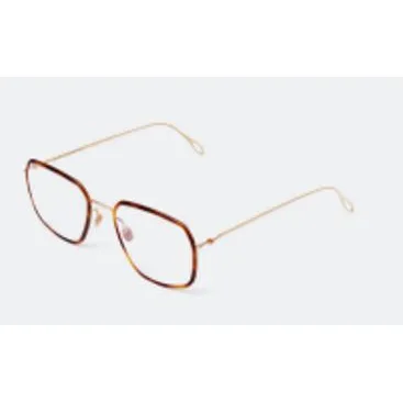 HMF NOLAN-C403-Champagne-Galapagos(PS) Clear-44452