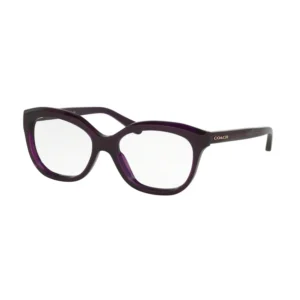 HC6096F 5249