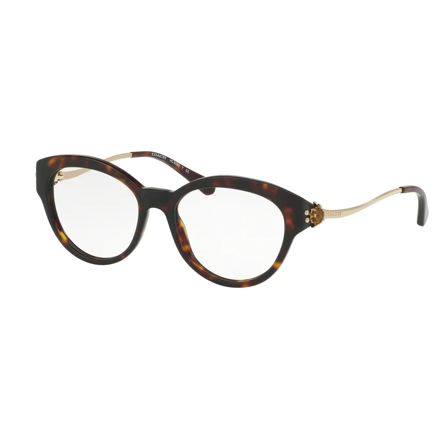 HC6093F 5417