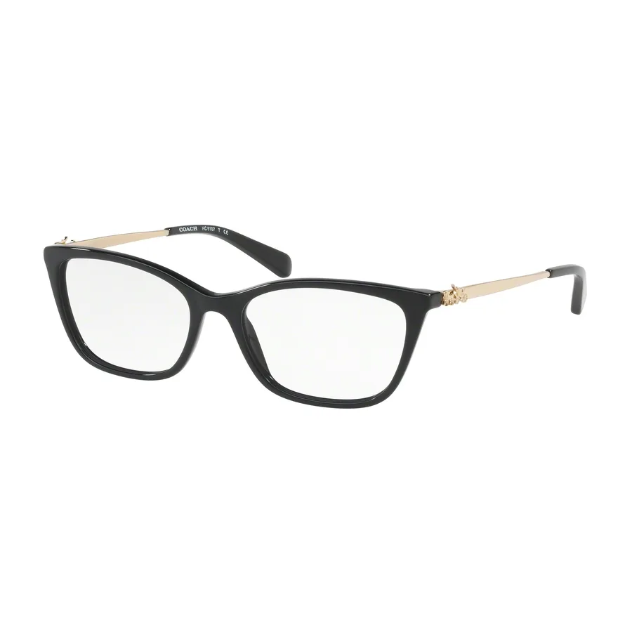 HC6107F 5486
