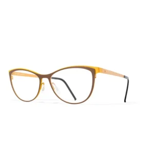 BLACK FIN BF764 C613 (GREY/BROWN)