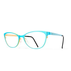 BLACK FIN BF765 C570 (LIGHT BLUE/BROWNGREY)