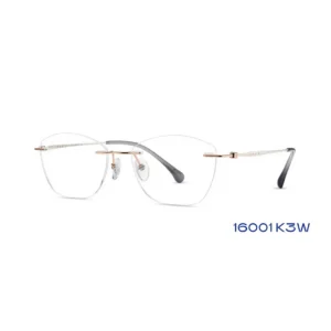 16001 K3W 53-17-145-MV-ACPRM0001